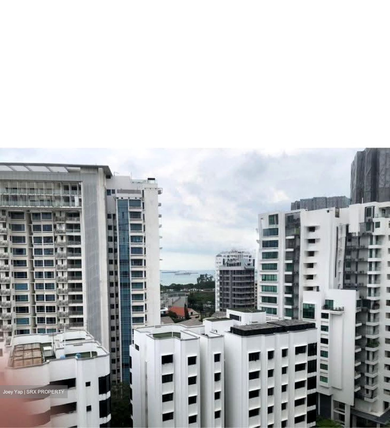 Amber Gardens (D15), Condominium #613602851